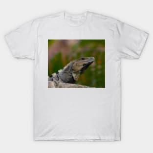 Iguana T-Shirt